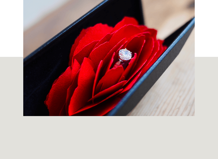 PROPOSE ITEM