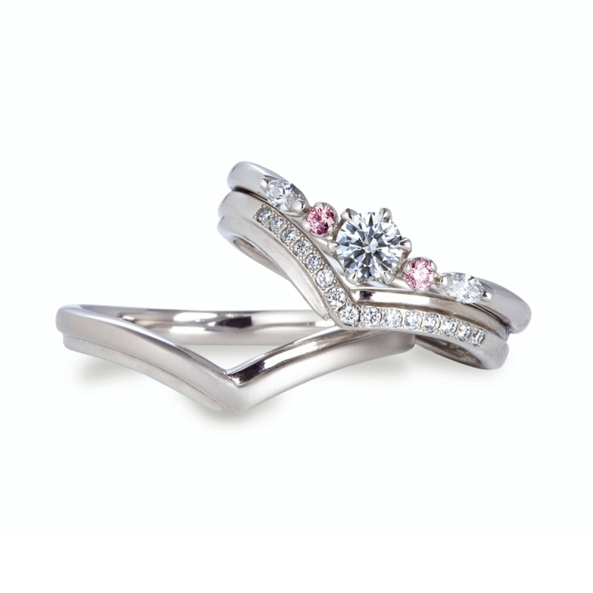 セットリング ルピナス